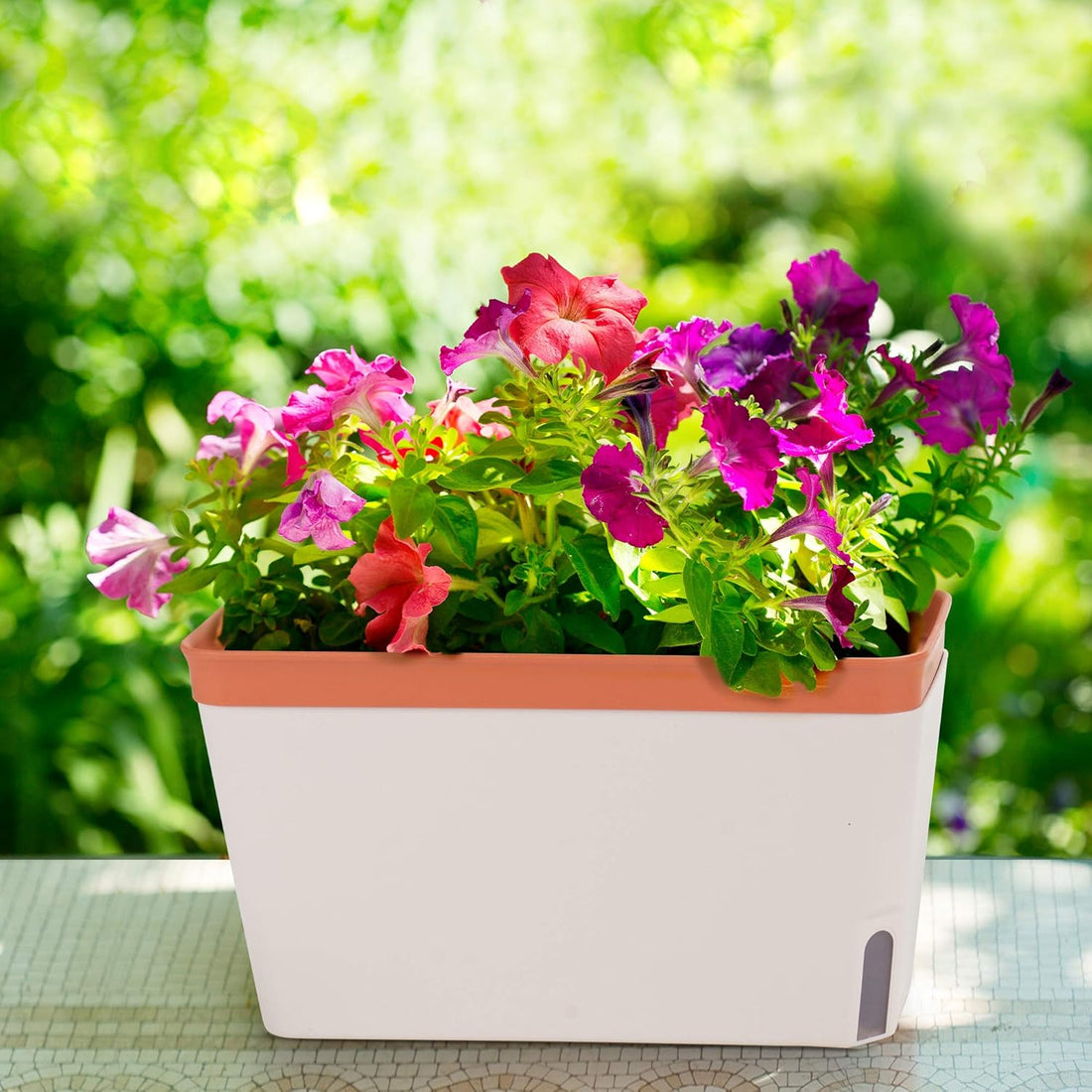 Amazing Creation Window Herb Planter Box, Vibrant Window Herb Garden, Self-Watering Rectangular Planter for Kitchen, Plants, and Succulents - Set of 3